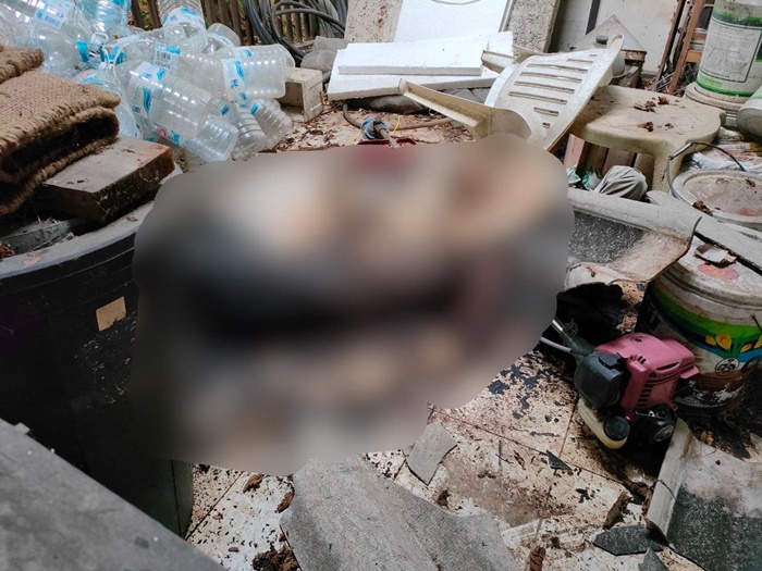  ตกหลังคาตาย