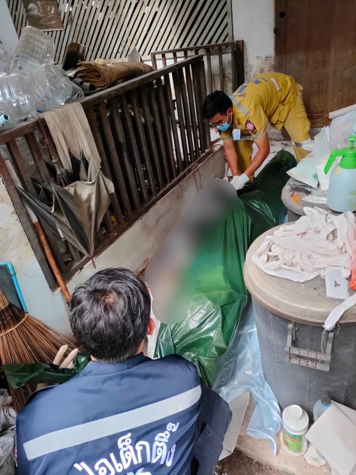  ตกหลังคาตาย