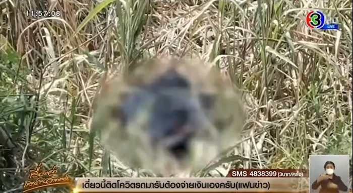 รอสายจากลูก สุดท้ายกลายเป็นศพ 