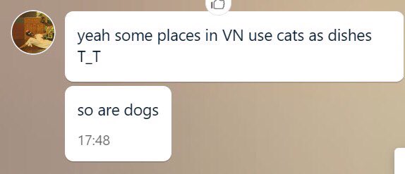  จิ้มจุ่มแมว !?