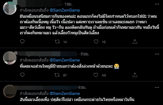  จิ้มจุ่มแมว !?