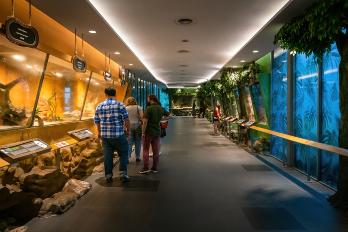 แฟนกลัวงู