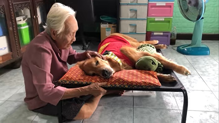 เจ้าลีโอ ไอ้หนูของยาย ตายแล้ว  