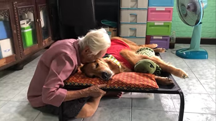 เจ้าลีโอ ไอ้หนูของยาย ตายแล้ว  