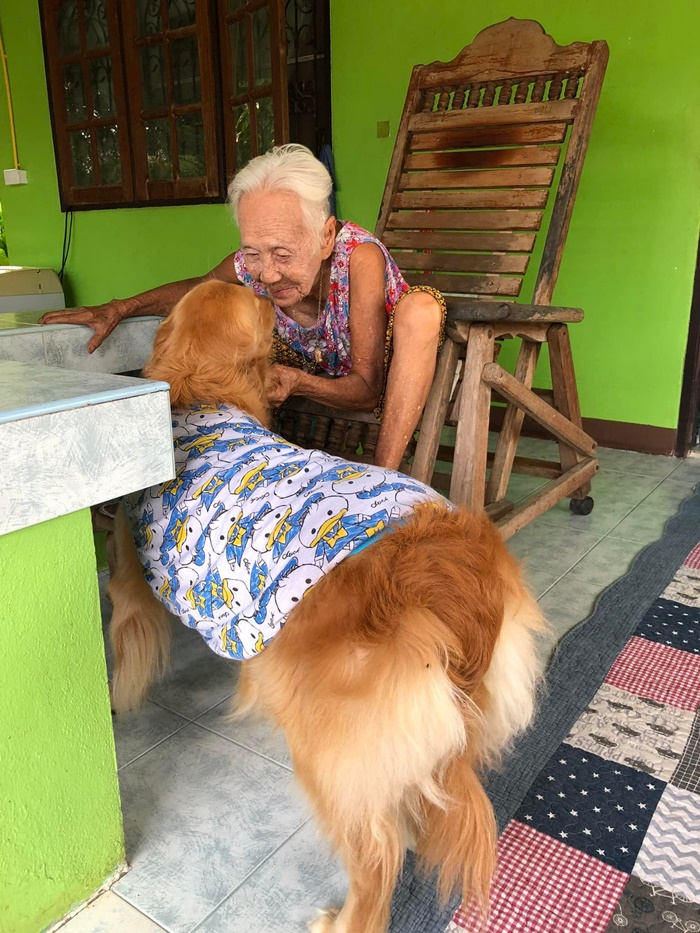 เจ้าลีโอ ไอ้หนูของยาย ตายแล้ว  