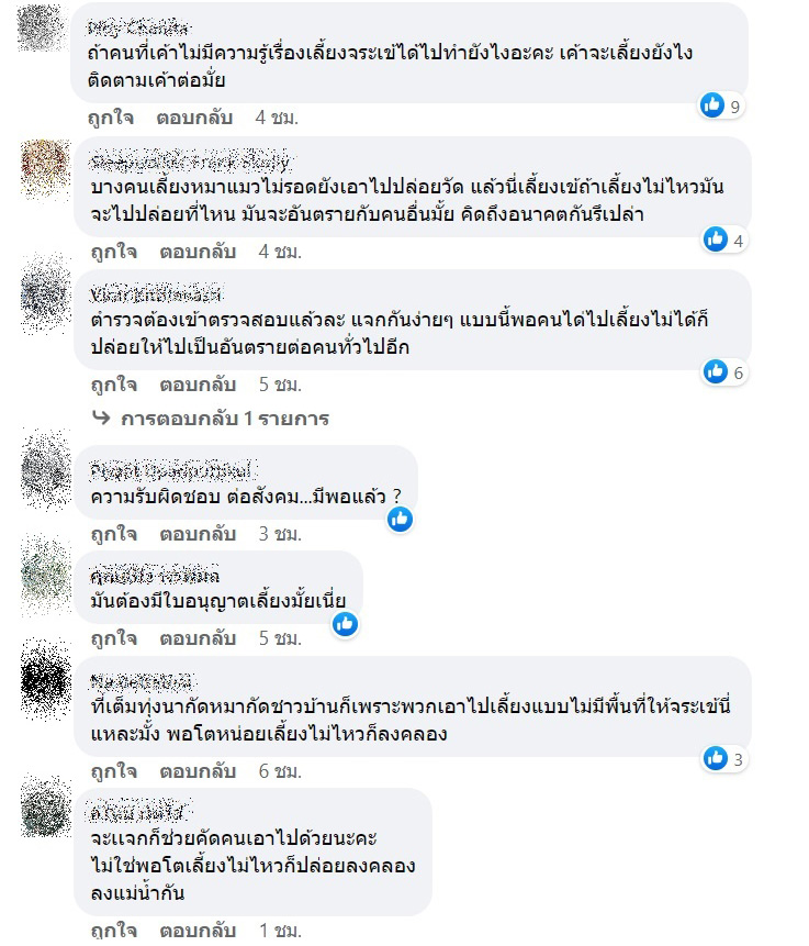  แจกจระเข้ 500 ตัว !?