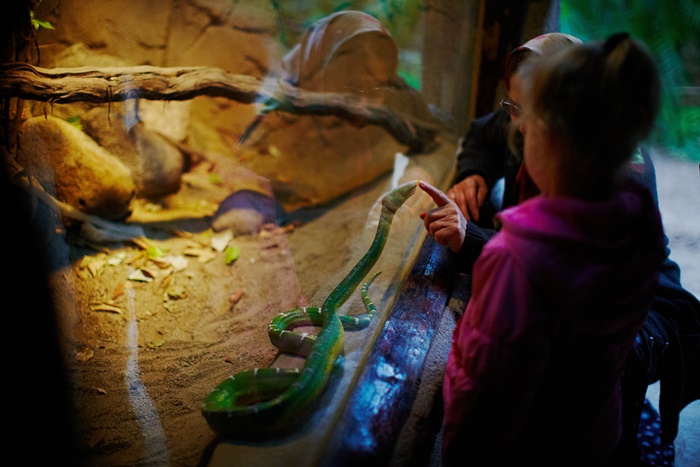 แฟนกลัวงู