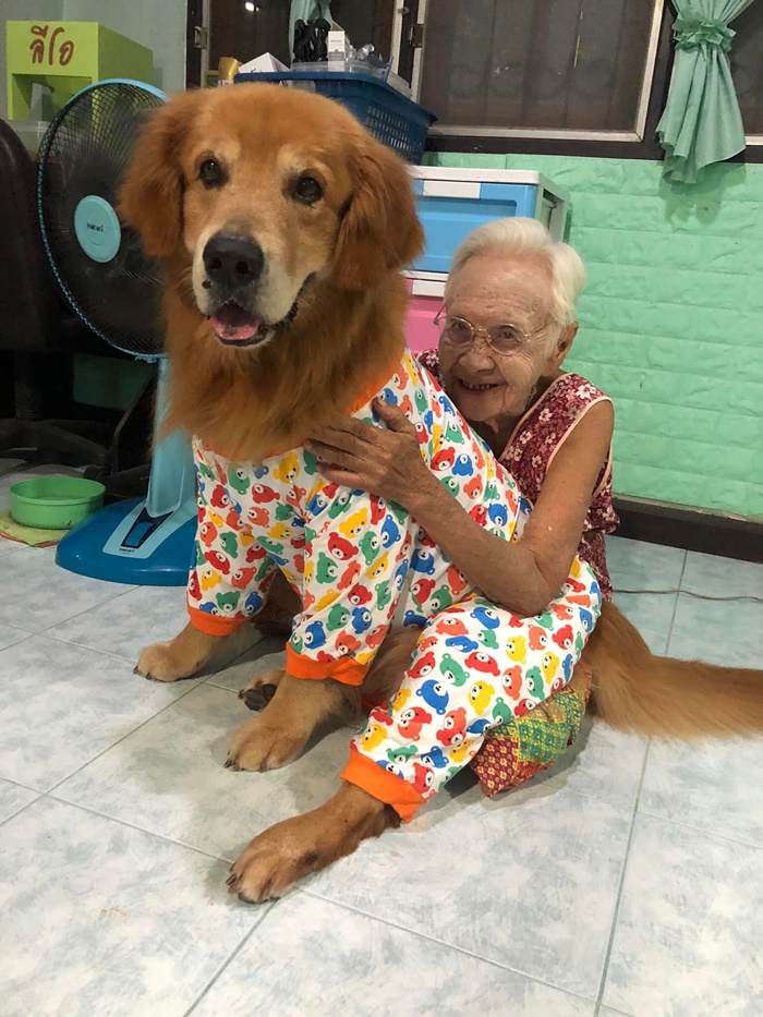 เจ้าลีโอ ไอ้หนูของยาย ตายแล้ว  