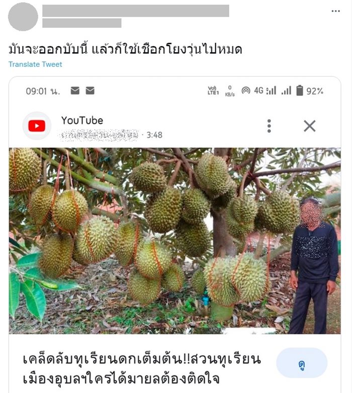 ทุเรียนจีน