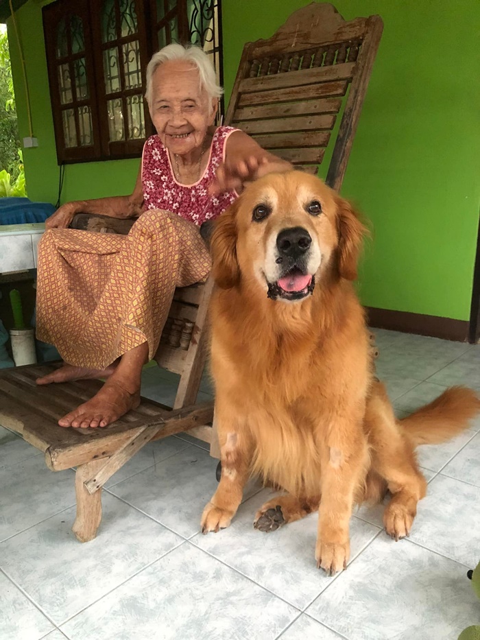 เจ้าลีโอ ไอ้หนูของยาย ตายแล้ว  