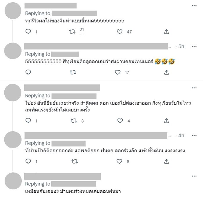 ทุเรียนจีน
