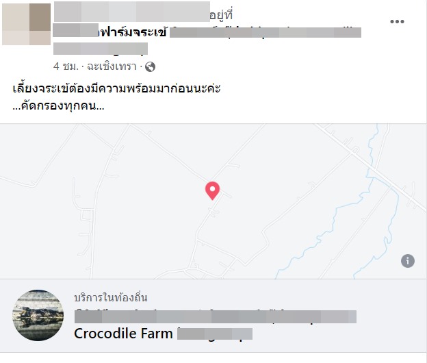  แจกจระเข้ 500 ตัว !?