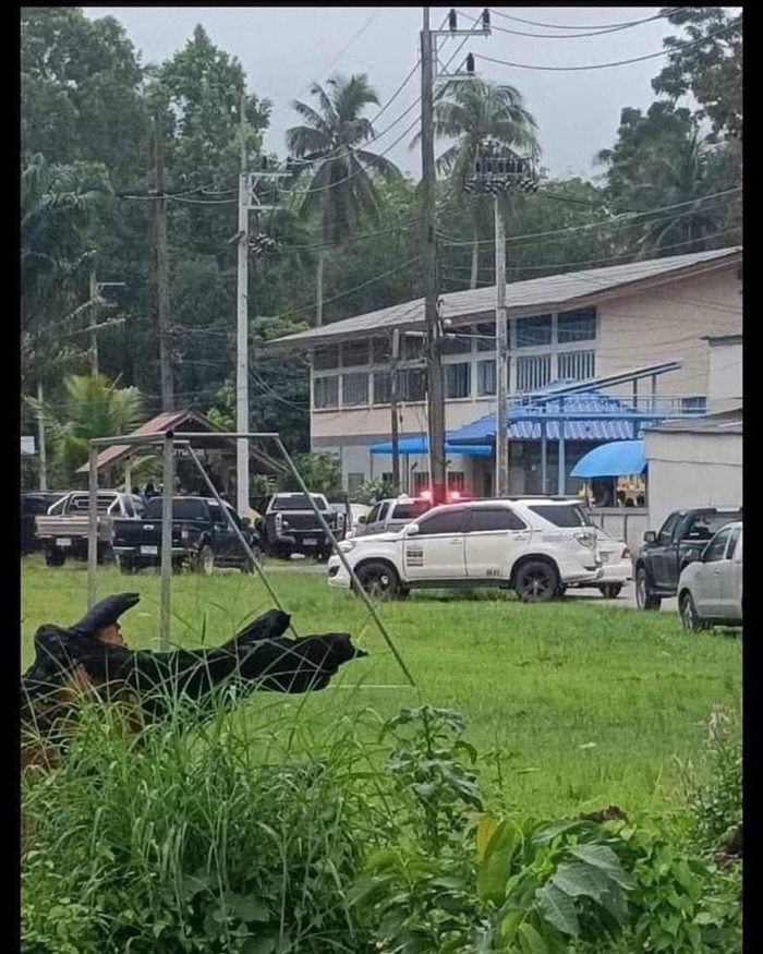 เมาคลั่ง