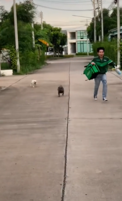 น้องไม่ดุ 