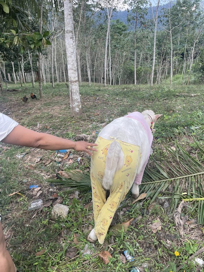 ตัวตึงสายแฟชั่น