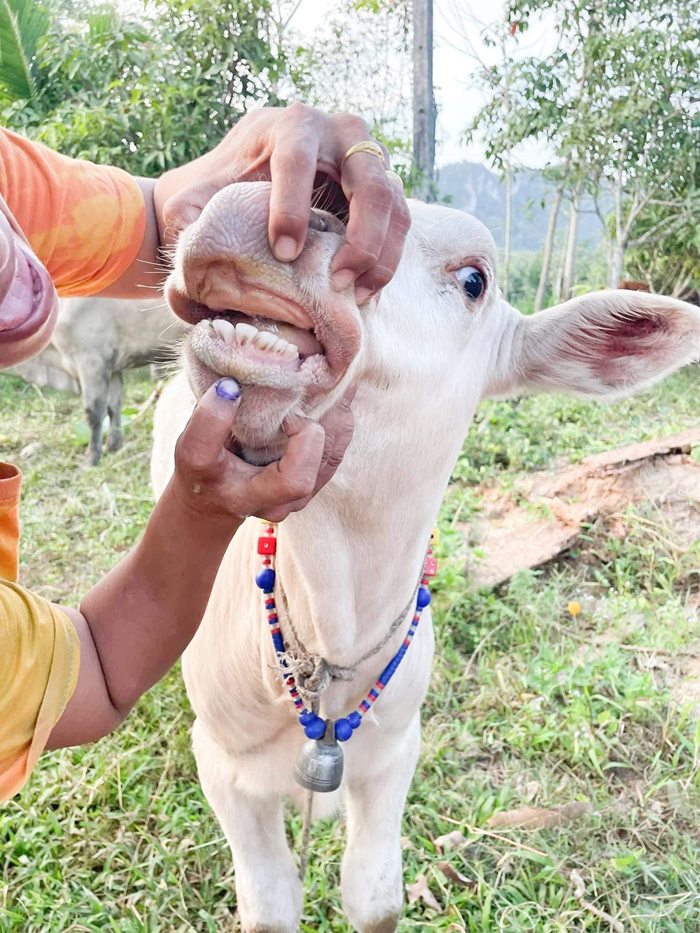 ตัวตึงสายแฟชั่น