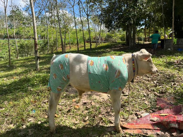 ตัวตึงสายแฟชั่น