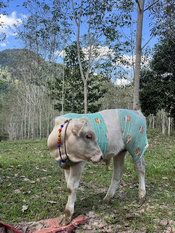 ตัวตึงสายแฟชั่น