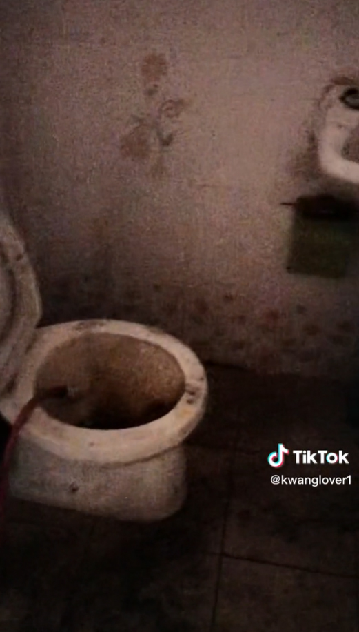 ฝันร้ายของเด็กหอ 