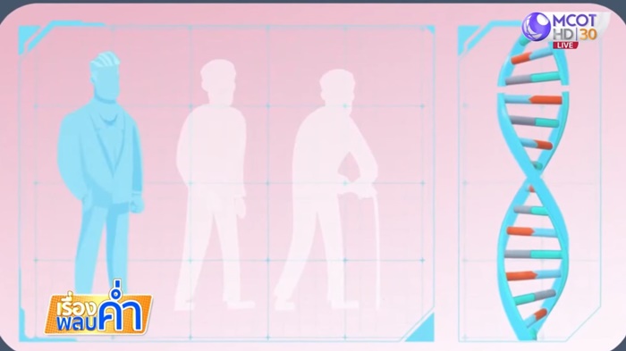  เตรียมทดสอบ มณีแดง ในคน