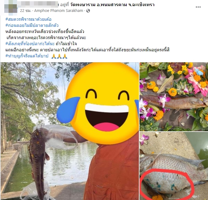 สภาพปลา..หลังวันลอยกระทง