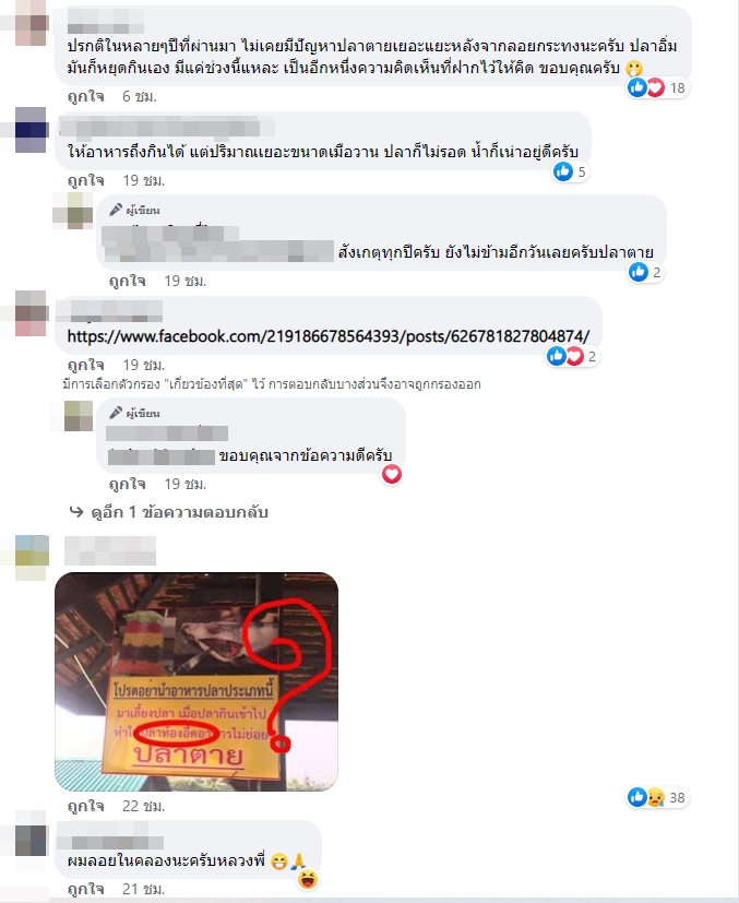 สภาพปลา..หลังวันลอยกระทง