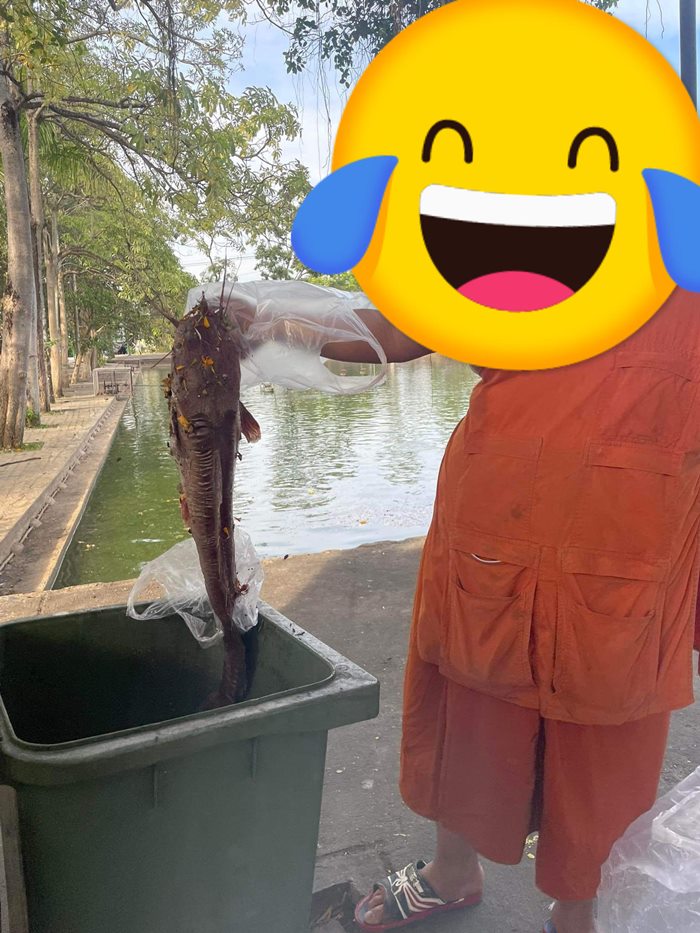 สภาพปลา..หลังวันลอยกระทง