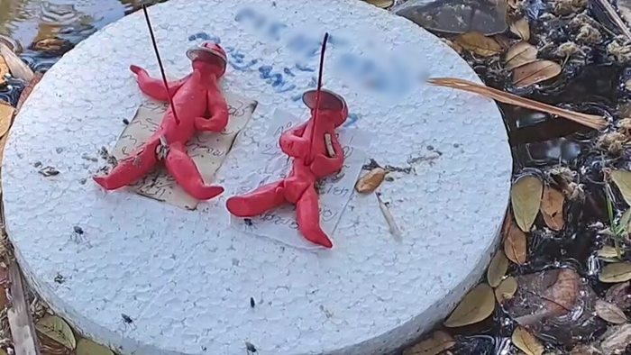   ตุ๊กตาคุณไสย 