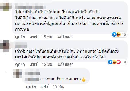 อาถรรพ์ใบเมเปิ้ล 