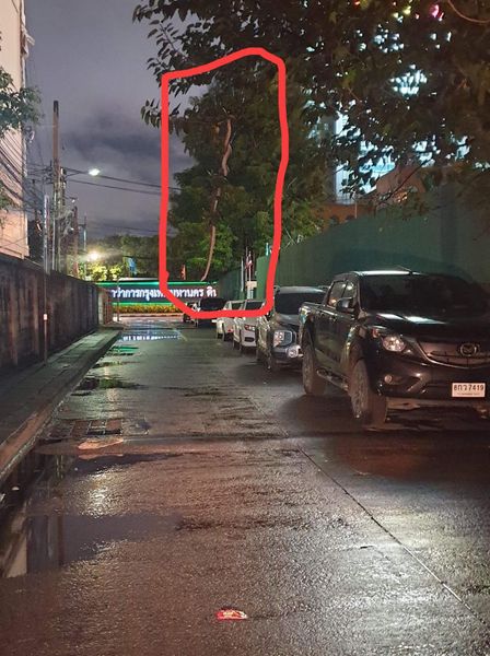 งูยักษ์