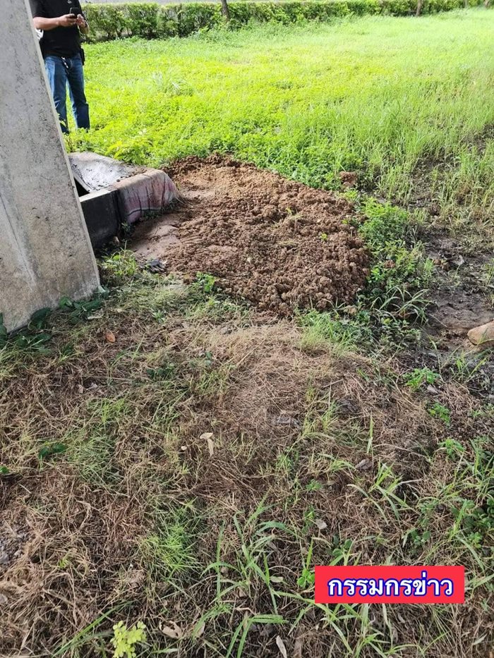 ฆ่าหั่นศพ