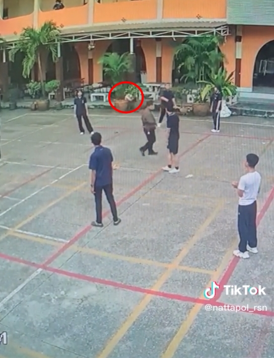  คลิปไวรัล TikTok 10 ล้าน