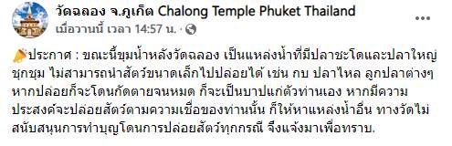 ปล่อยยังไม่หมดถุง ชะโดพุ่งมางาบ !!