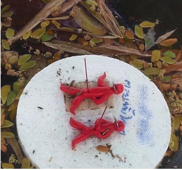   ตุ๊กตาคุณไสย 