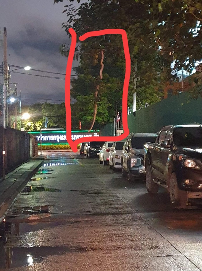 งูยักษ์