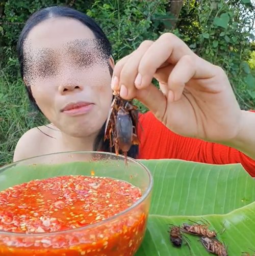 เปิบพิสดาร