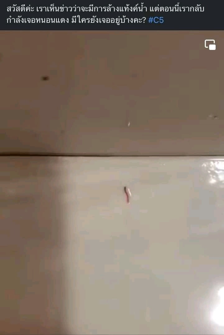  ทนแบบนี้มาเป็นปี ๆ แล้ว แก้ไม่หาย