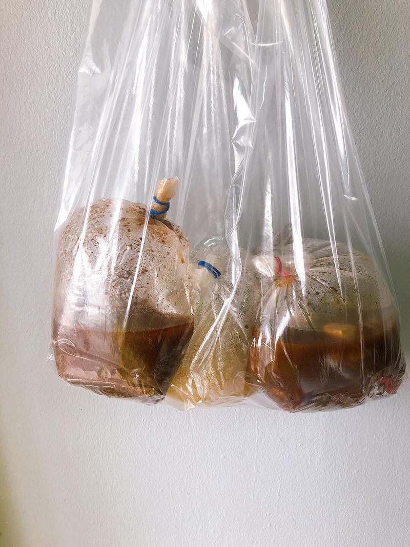 ก๋วยเตี๋ยว 