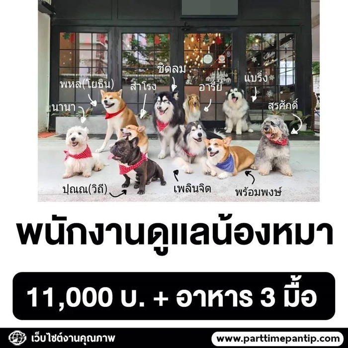 รับสมัครงาน