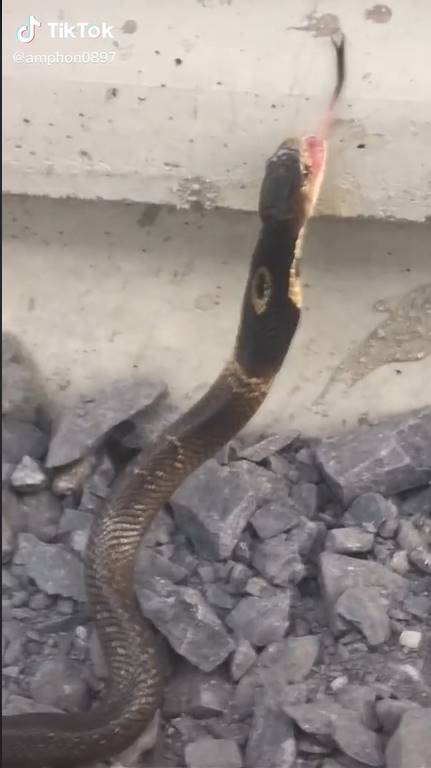 นุด...ช่วยเราก่อน...