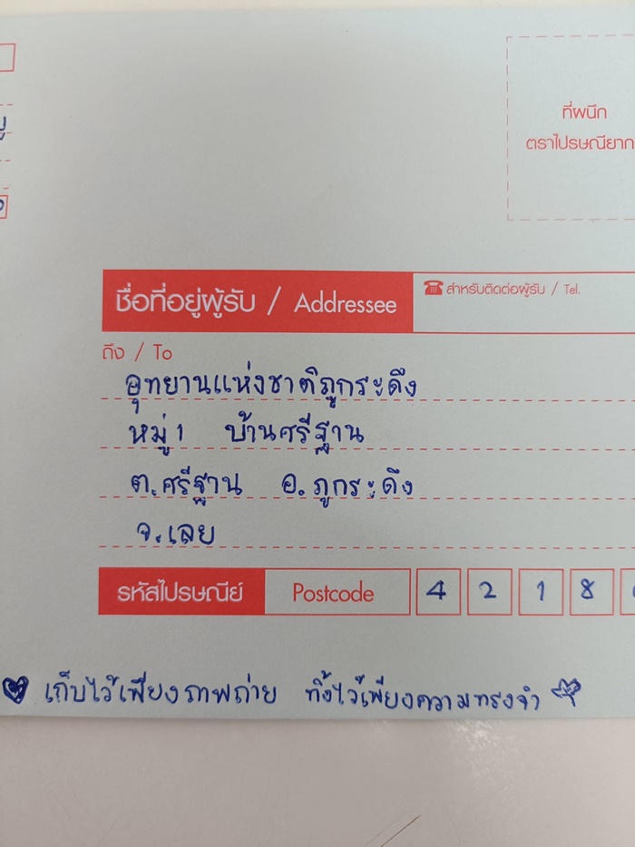 อาถรรพ์ใบเมเปิ้ล 