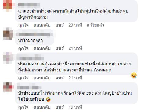 ป้าข้างบ้าน