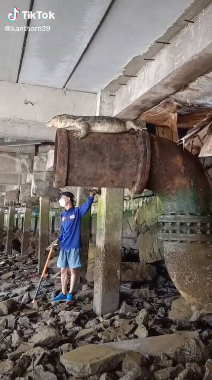 โคตรเหี้ย 