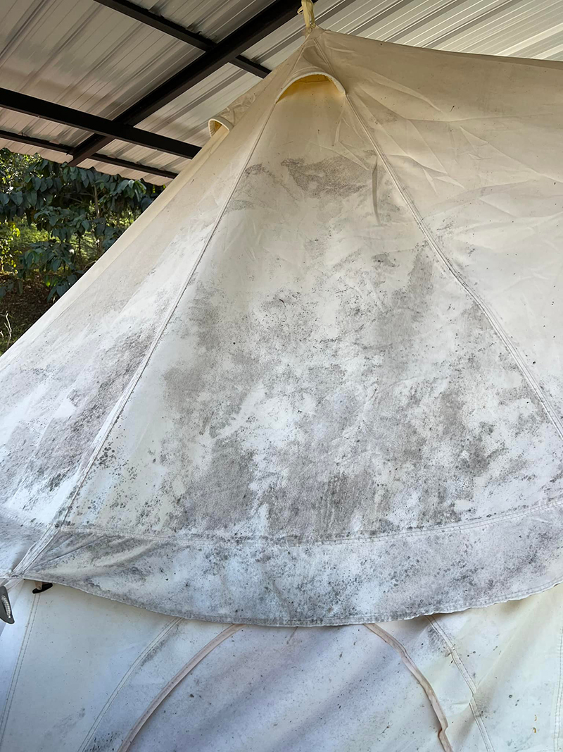 โละกระโจมเชื้อราออกหมด !