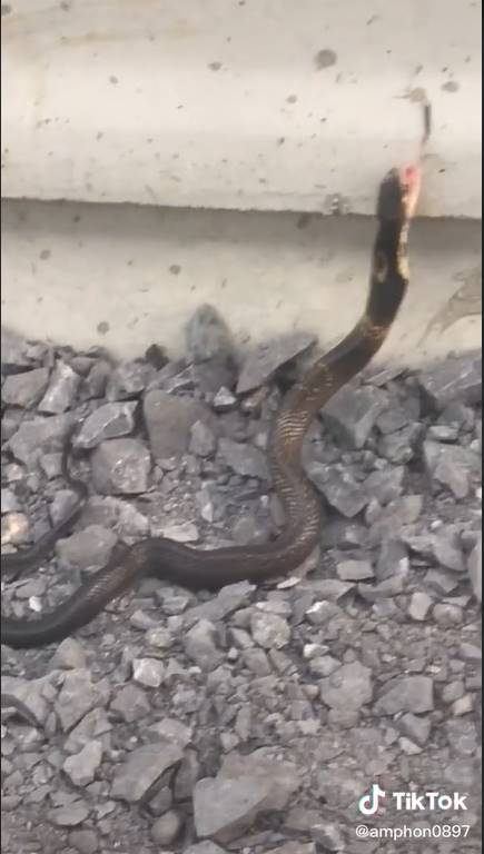 นุด...ช่วยเราก่อน...