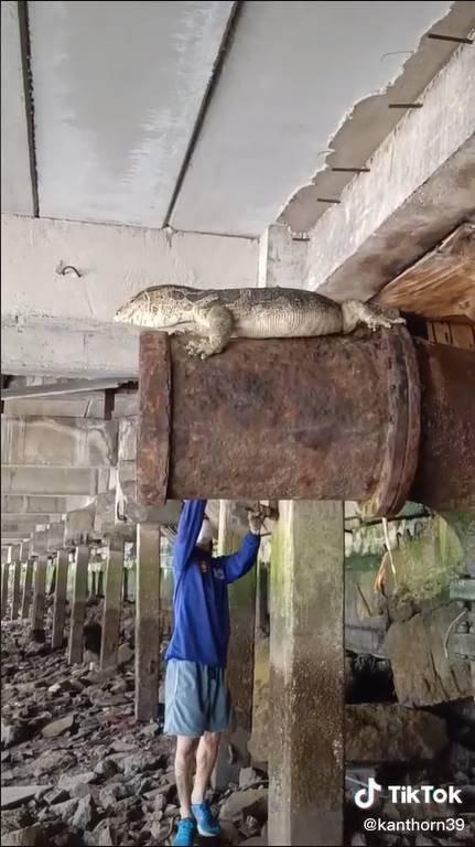 โคตรเหี้ย 