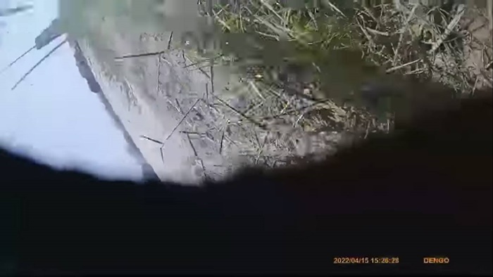 กูไม่เบรกนะ 