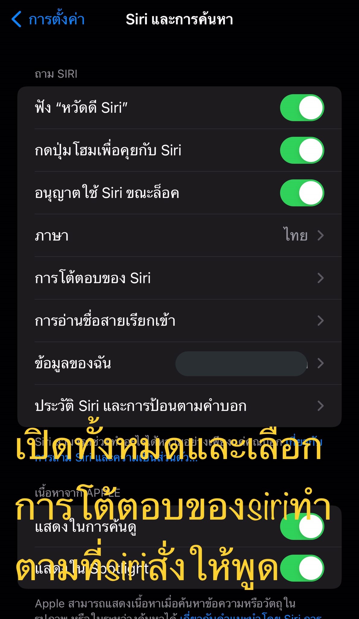 ตะโกนเรียก SIRI