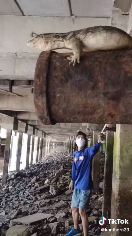 โคตรเหี้ย 