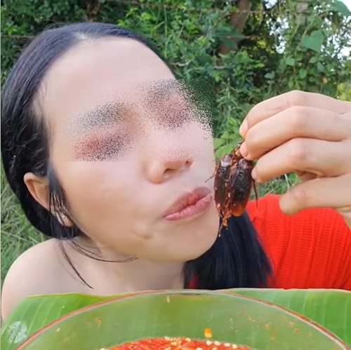 เปิบพิสดาร